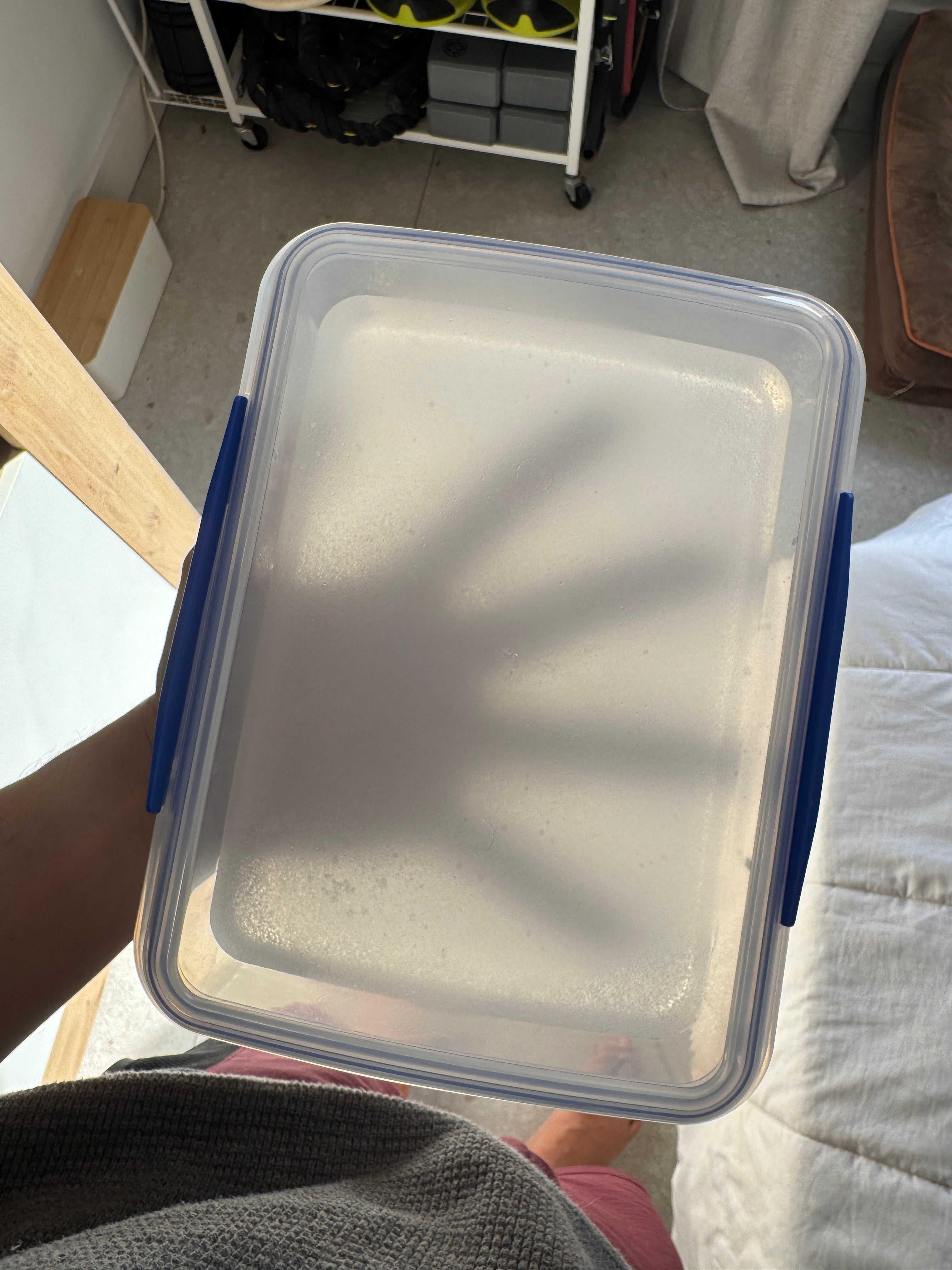 Clear Oogoo